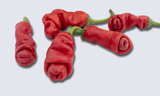 Peter Pepper, 10 Seeds NON-GMO Organically Grown