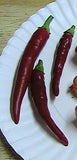 Cayenne Hot Pepper, 25+ Seeds NON-GMO Organically Grown