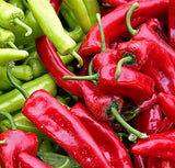 Anaheim Chili Pepper, 25+ Seeds NON-GMO Organically Grown