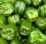 California Wonder Bell Pepper, 25+ Seeds NON-GMO Organically Grown