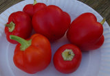 Alma Paprika Pepper, 25+ Seeds NON-GMO Organically Grown