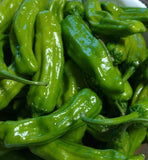 Italian Pepperoncini Pepper, 25+ Seeds NON-GMO Organically Grown