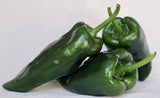 Poblano Hot Pepper, 25+ Seeds NON-GMO Organically Grown