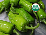 Shishito Pepper, 20 Seeds NON-GMO Certified Organic