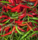 Tabasco Pepper, 25+ Seeds HOT! NON-GMO Organically Grown