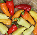 Santa Fe Grande Hot Pepper, 25+ Seeds HOT! NON-GMO Organically Grown