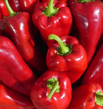 Ajvarski Sweet Pepper, 15 Seeds NON-GMO Organically Grown