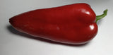 Ajvarski Sweet Pepper, 15 Seeds NON-GMO Organically Grown