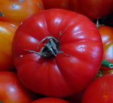 Giant Crimson Tomato, RARE, 10 seeds non-GMO Organically Grown