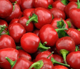 Cherry Bomb Pepper, 15 Seeds NON-GMO Organically Grown