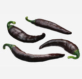 Pasillo Bajio Hot Pepper, 15 Seeds NON-GMO Organically Grown
